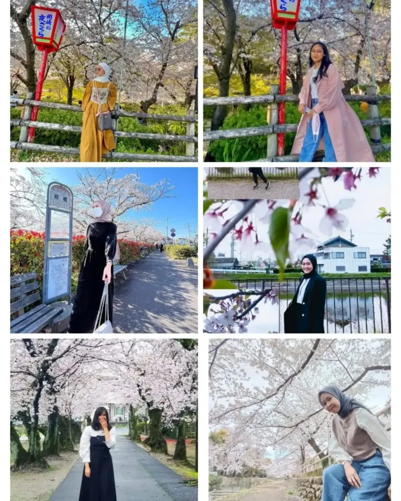 340178720_1212479882717829_8482027686233585759_n